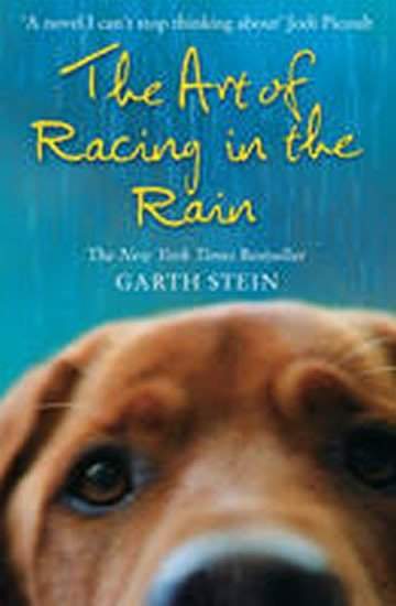 Garth Stein - Art of Racing in Rain