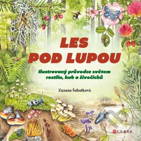 Zuzana Šabatková: Les pod lupou