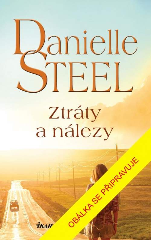 Ztráty a nálezy - Danielle Steel