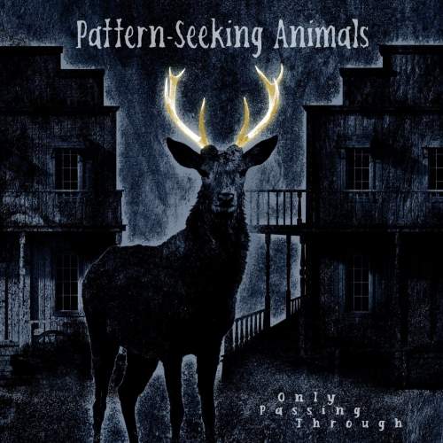 Sony Music Pattern-Seeking Animals: Only Passing Through: CD