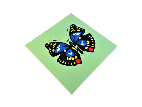 Moyo Montessori motýl