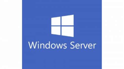 Microsoft Windows Server CAL 2022 ENG 5 Clt Device CAL OEM (R18-06430)