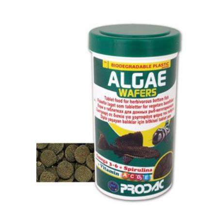 Prodac Algae Wafers
