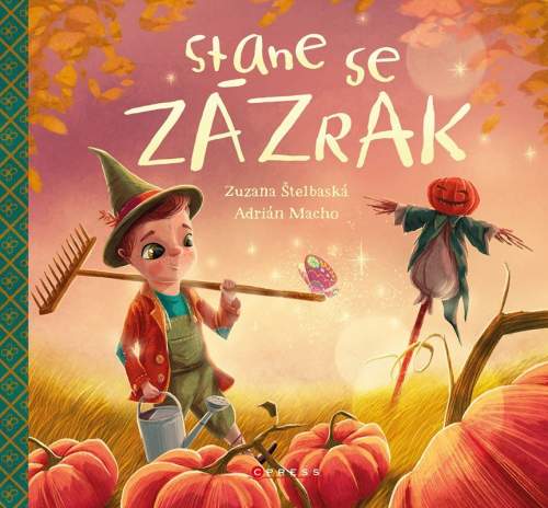 Stane se zázrak  - Zuzana Štelbaská