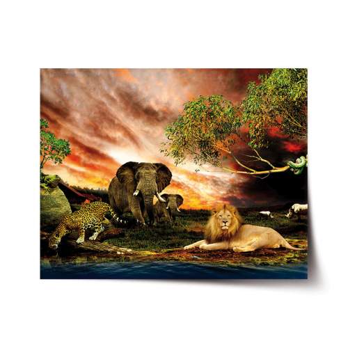 SABLIO Plakát Zvířata ze Sahary 120x80 cm