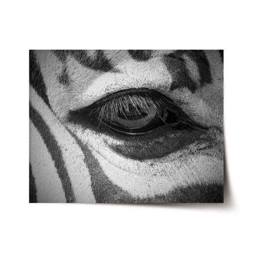 SABLIO Oko zebry