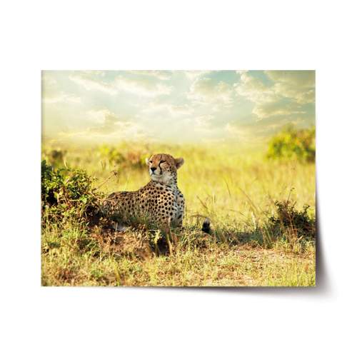 SABLIO Gepard 120x80 cm
