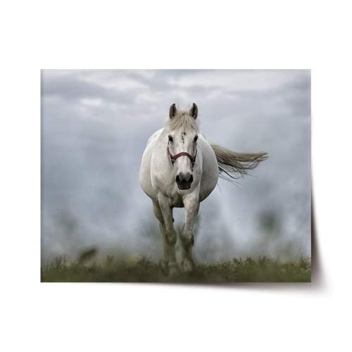 SABLIO Bílý kůň 3 120x80 cm