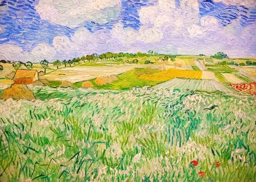ENJOY Puzzle Vincent Van Gogh: Krajina v Auvers 1000 dílků