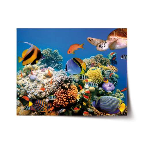 Plakát SABLIO - Korálový útes 90x60 cm