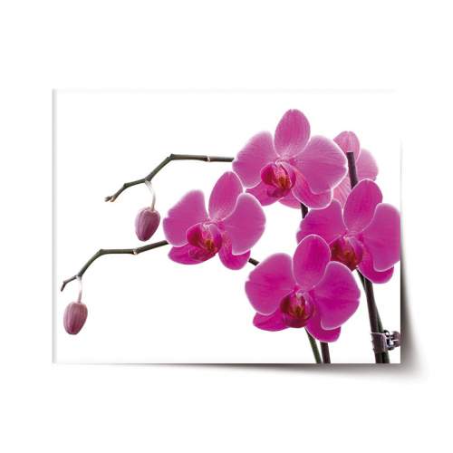 Plakát SABLIO - Fialové orchideje 90x60 cm