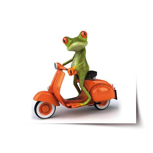 Plakát SABLIO - Žába na motorce 90x60 cm