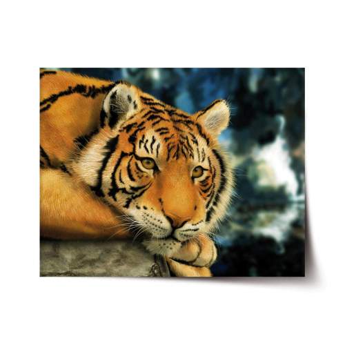 Plakát SABLIO - Tygr 90x60 cm