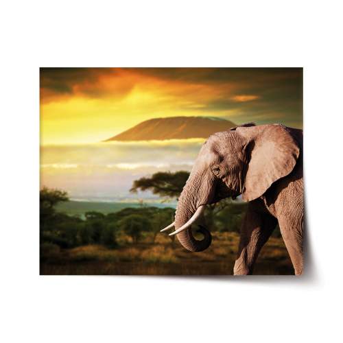 SABLIO Slon z profilu 90x60 cm