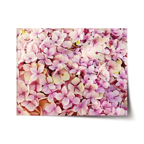 Plakát SABLIO - Růžové květy 90x60 cm