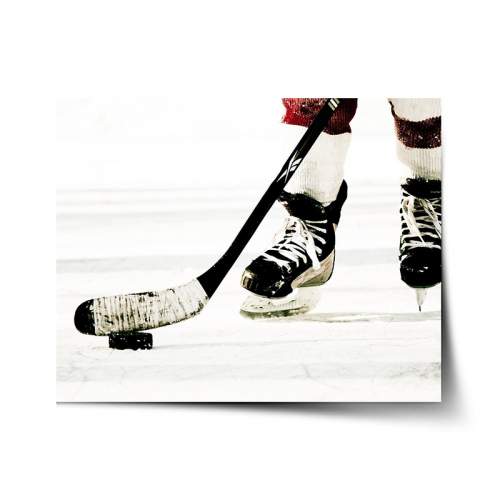 SABLIO - Lední hokej 90x60 cm