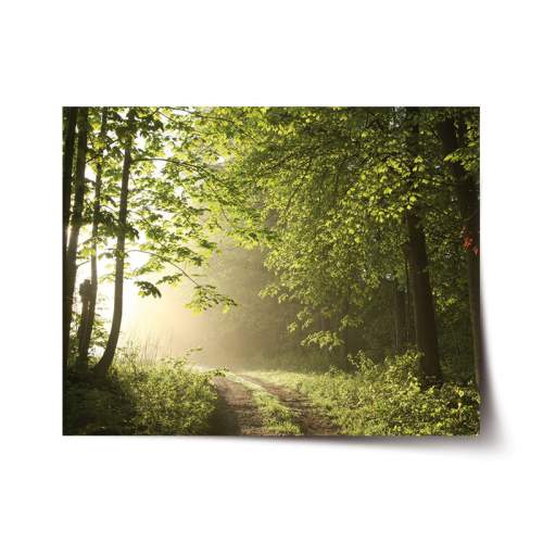 SABLIO - Lesní cesta 90x60 cm