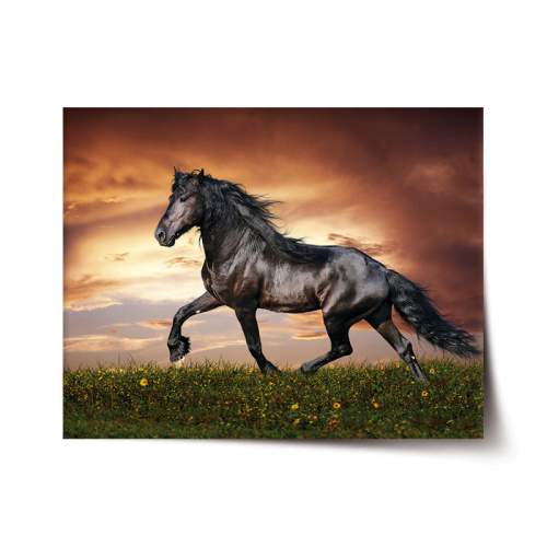 SABLIO - Friský kůň 90x60 cm