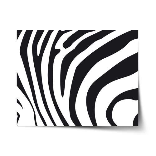 SABLIO Vzor zebry 60x40 cm