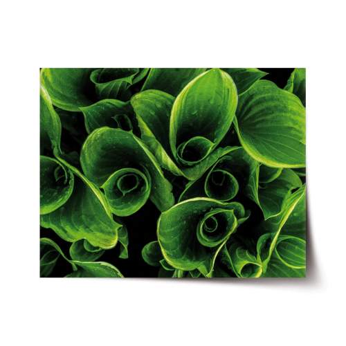 SABLIO - Zelené listy 60x40 cm