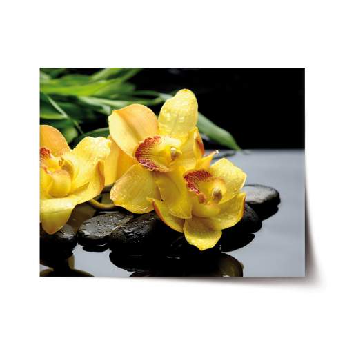 SABLIO - Žluté orchideje 60x40 cm