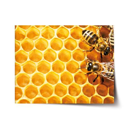 SABLIO - Včely 60x40 cm