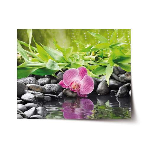 SABLIO - Růžová orchidej 60x40 cm