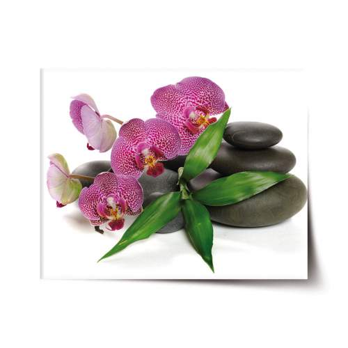 SABLIO Orchideje a kameny 60x40 cm