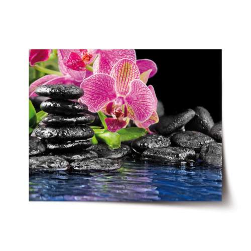 SABLIO - Orchidej na kamenech 60x40 cm