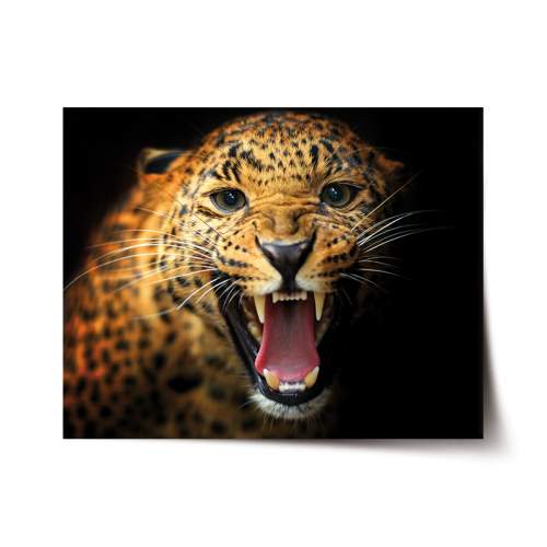 SABLIO Gepard 2 60x40 cm