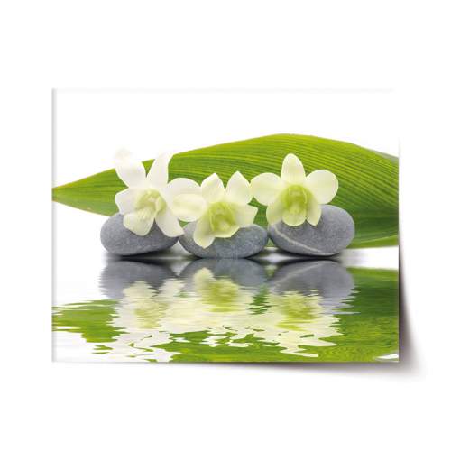 SABLIO - Bílá orchidej 60x40 cm