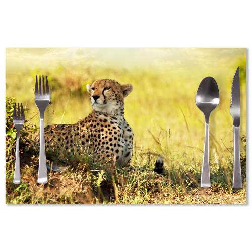SABLIO - Gepard 40x30cm