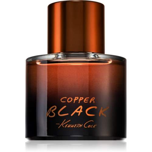 Kenneth Cole Black Copper