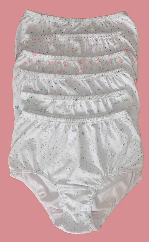Angelika Bavlněné kalhotky s vysokým pasem, 6ks v balení, bílé Velikosti těh. moda: M (38)