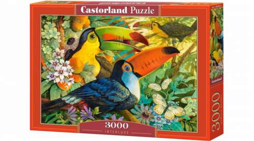 Puzzle 3000 elementów Ptaki Tukany Interlude