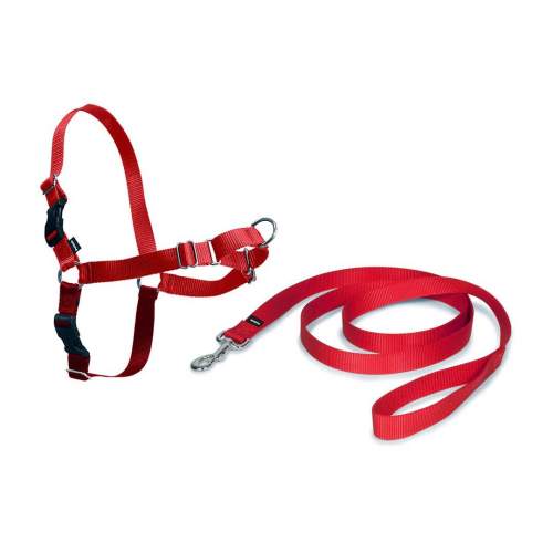 PetSafe EasyWalk™ Postroj pro psy, červená, L