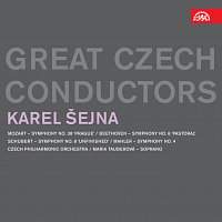 Různí interpreti – Karel Šejna. Great Czech Conductors