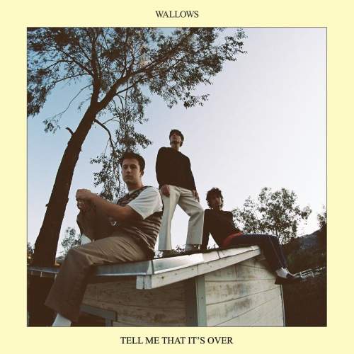 Wallows: Tell Me That It's Over (Coloured) - LP