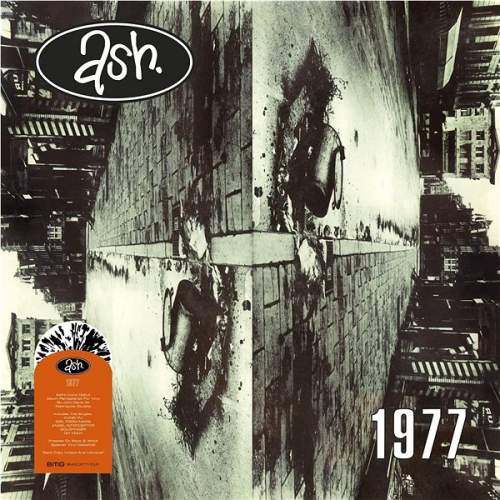 Ash: 1977 (Splatter vinyl): Vinyl (LP)