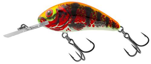 Salmo Rattlin' Hornet Floating Holo Red Perch 3,5 cm 3,1 g