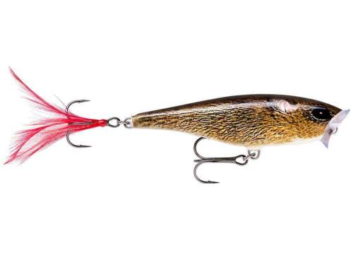 Rapala wobler skitter pop top water fresh fml - 7 cm 7 g