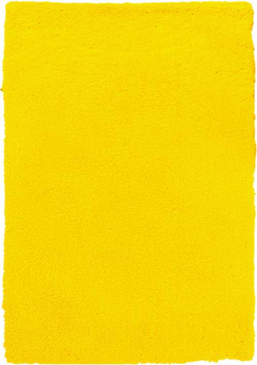 Kusový koberec Spring Yellow - 160x230 cm