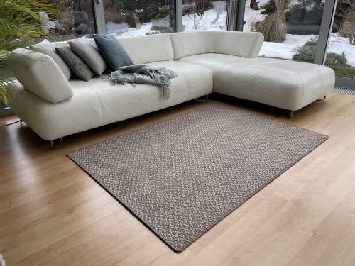 Kusový koberec Astra světle šedá 200 x 300 cm