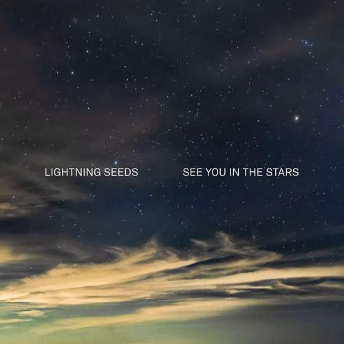 Lightning Seeds: See You In The Stars - LP