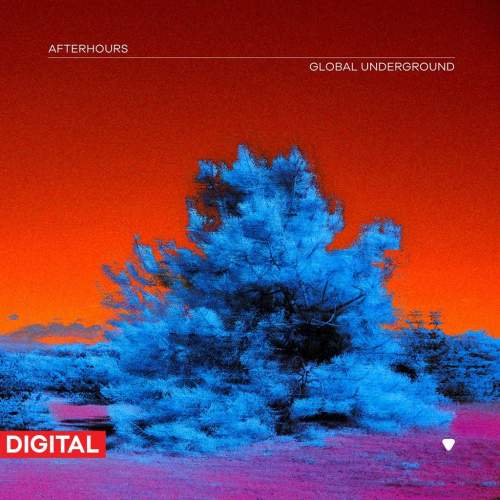 Various: Global Underground: Afterhours 9 (2x LP) - LP