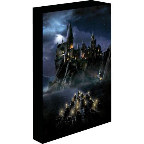 EPEE Harry Potter obraz LED svítící 30x40 cm - Bradavice
