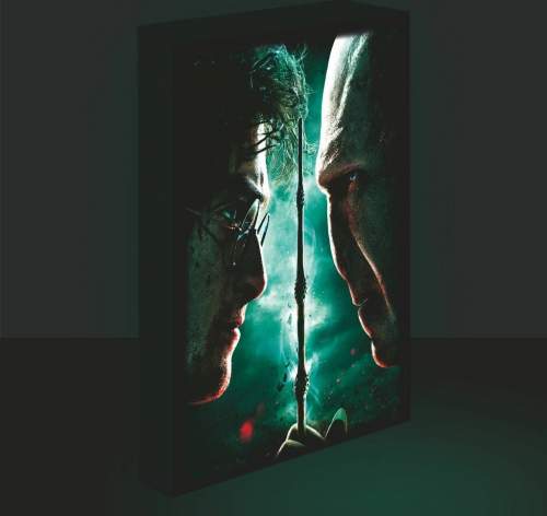 EPEE Obraz LED svítící 30x40, Harry Potter - Harry vs. Voldemort
