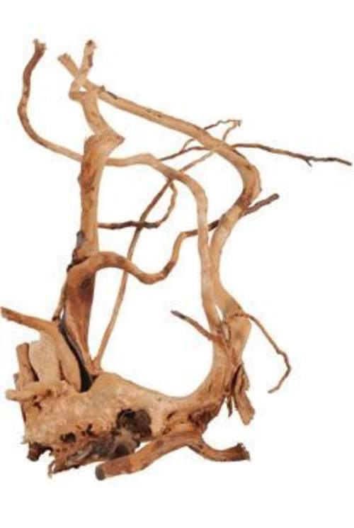 Zolux Spider root přírodní naplavené dřevo 40-50 cm