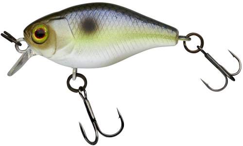 Illex wobler chubby pearl sexy shad