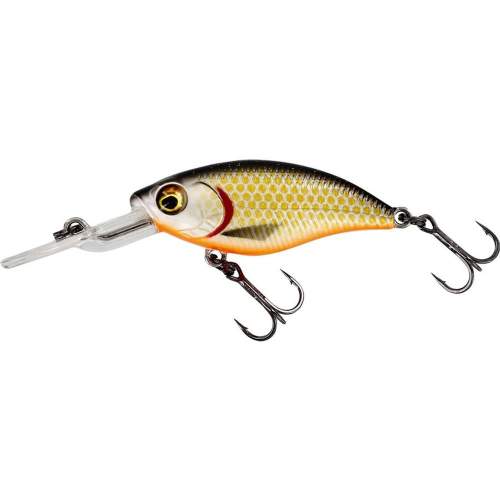 Westin Wobler BuzzBite Crankbait Suspending 6cm Barva: Official Roach, Délka cm: 6cm